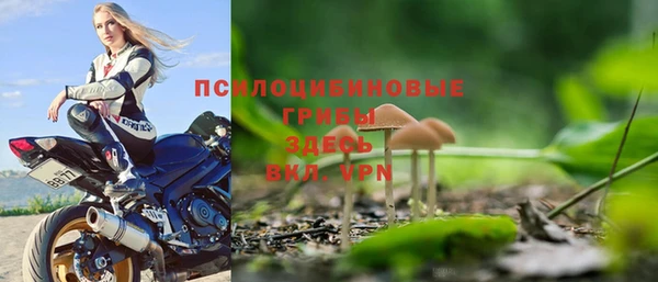 ГАЛЛЮЦИНОГЕННЫЕ ГРИБЫ Кулебаки