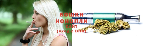 ГАЛЛЮЦИНОГЕННЫЕ ГРИБЫ Кулебаки