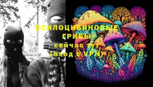 прущая мука Кукмор