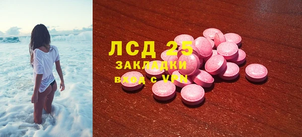 ГАЛЛЮЦИНОГЕННЫЕ ГРИБЫ Кулебаки