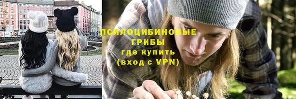 ГАЛЛЮЦИНОГЕННЫЕ ГРИБЫ Кулебаки