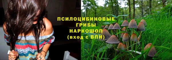прущая мука Кукмор