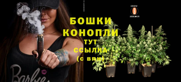 ГАЛЛЮЦИНОГЕННЫЕ ГРИБЫ Кулебаки