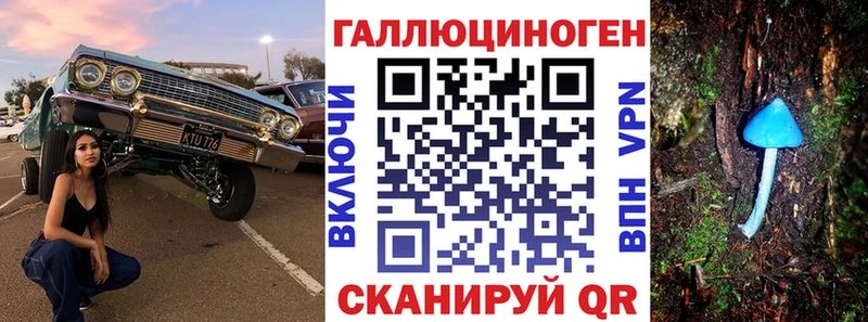 Псилоцибиновые грибы Psilocybe  Медвежьегорск 